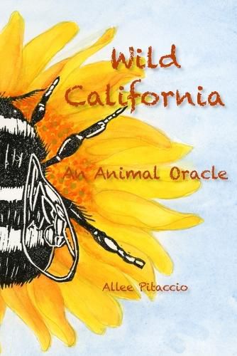 Cover image for Wild California