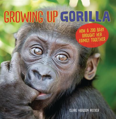 Cover image for Growing Up Gorilla: How a Zoo Baby Brought Her Family Together