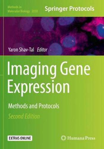 Cover image for Imaging Gene Expression: Methods and Protocols