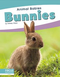 Cover image for Animal Babies: Bunnies