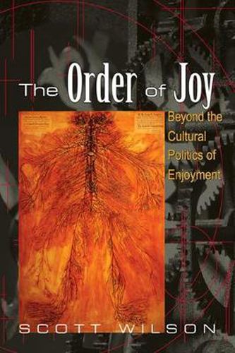 The Order of Joy: Beyond the Cultural Politics of Enjoyment