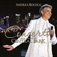 Cover image for Concerto: One Night In Central Park