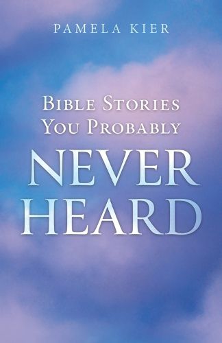 Cover image for Bible Stories You Probably Never Heard