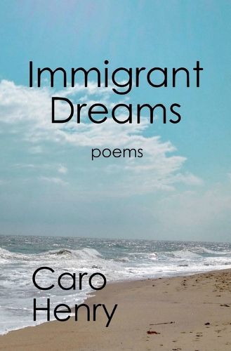 Cover image for Immigrant Dreams