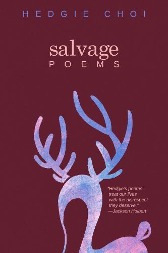 Cover image for Salvage