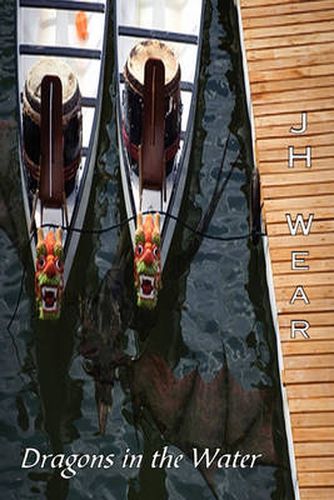 Cover image for Dragons in the Water