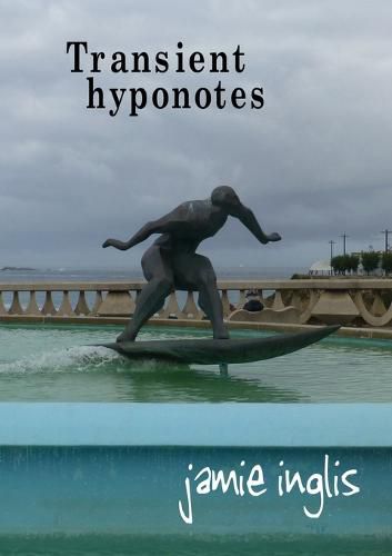 Cover image for Transient hyponotes