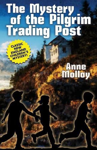 Cover image for The Mystery of the Pilgrim Trading Post