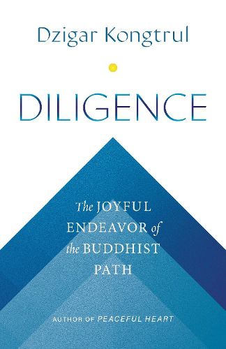 Cover image for Diligence