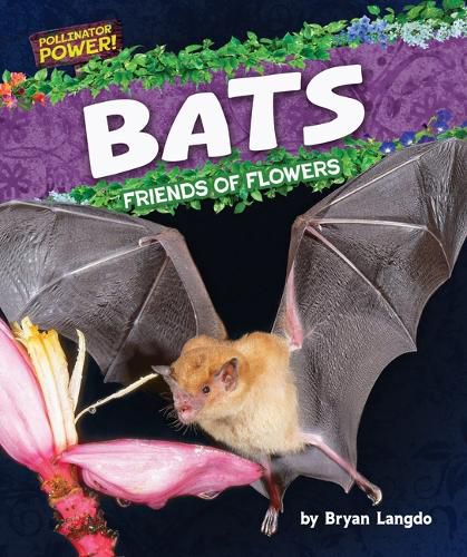 Cover image for Bats