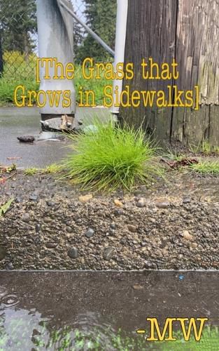 Cover image for The Grass that Grows in Sidewalks.