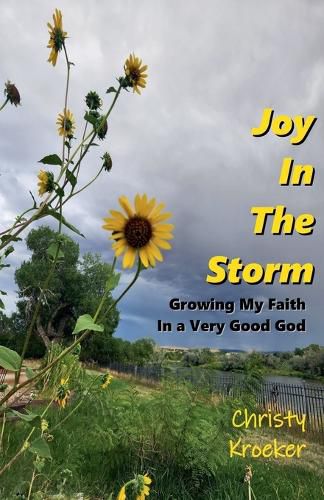Cover image for Joy In The Storm