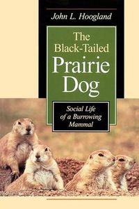 Cover image for The Black-tailed Prairie Dog: Social Life of a Burrowing Mammal