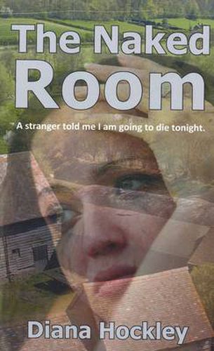 Cover image for The Naked Room