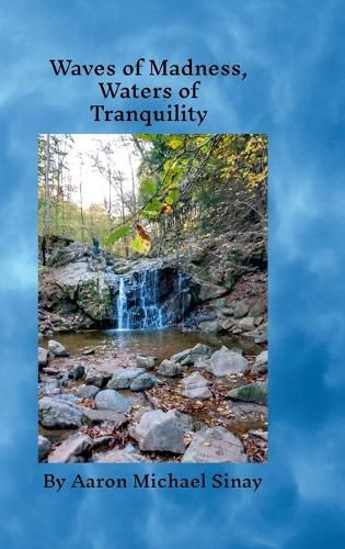 Cover image for Waves of Madness, Waters of Tranquility