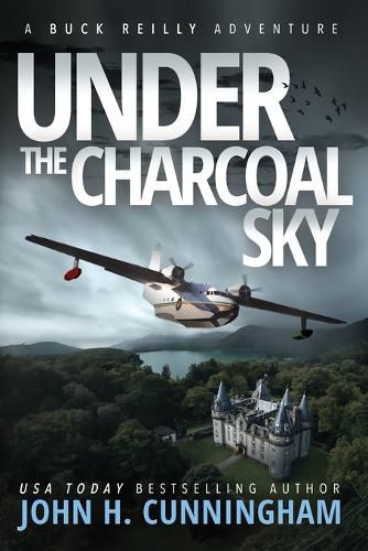 Cover image for Under the Charcoal Sky