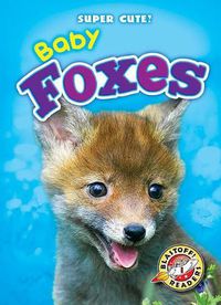 Cover image for Baby Foxes