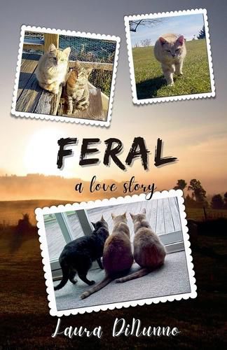 Cover image for Feral