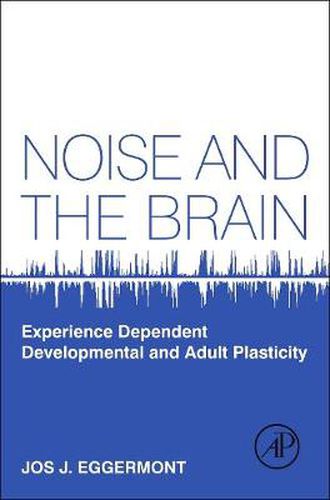 Noise and the Brain: Experience Dependent Developmental and Adult Plasticity