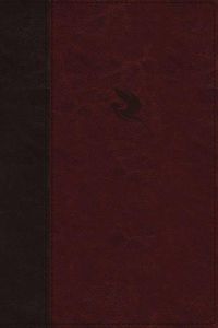 Cover image for NKJV, Spirit-Filled Life Bible, Third Edition, Leathersoft, Burgundy, Thumb Indexed, Red Letter, Comfort Print: Kingdom Equipping Through the Power of the Word