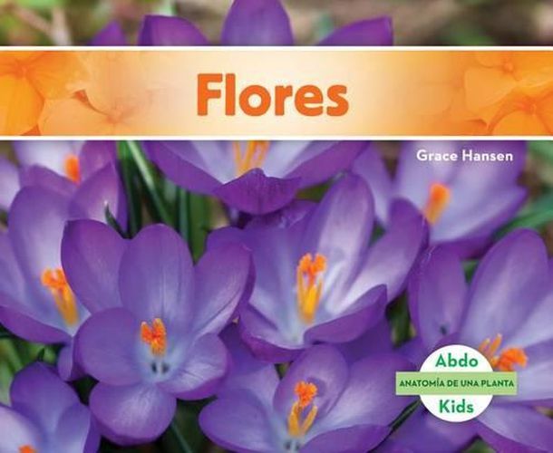 Cover image for Flores/ Flowers
