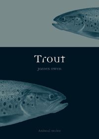 Cover image for Trout