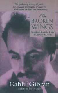 Cover image for The Broken Wings