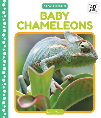 Cover image for Baby Chameleons