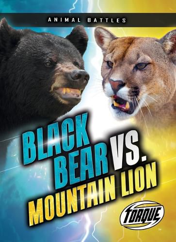 Cover image for Black Bear vs. Mountain Lion