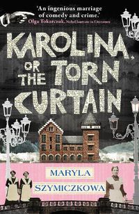 Cover image for Karolina, or the Torn Curtain