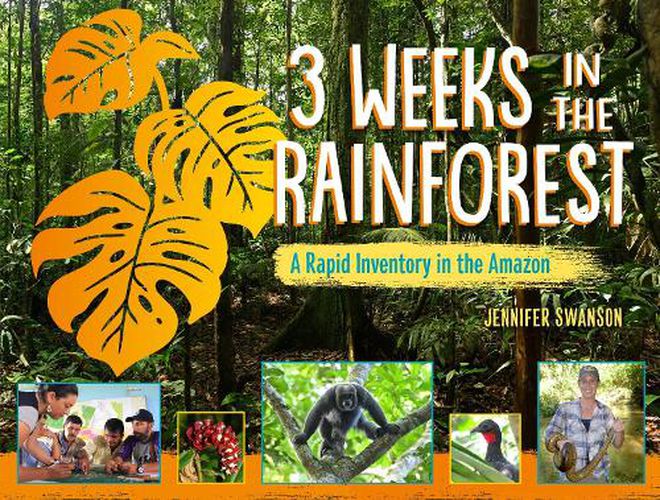 Cover image for 3 Weeks in the Rainforest