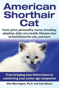 Cover image for American Shorthair Cat: From bringing your kitten home to comforting your senior age companion