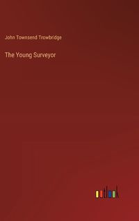 Cover image for The Young Surveyor