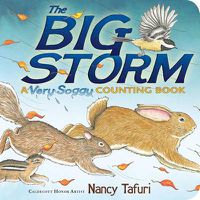 Cover image for The Big Storm: A Very Soggy Counting Book
