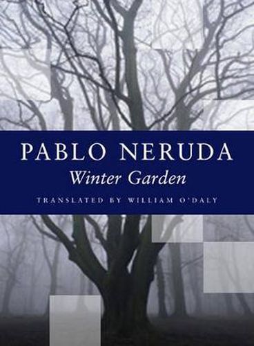 Cover image for Winter Garden