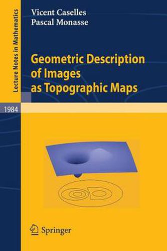 Cover image for Geometric Description of Images as Topographic Maps