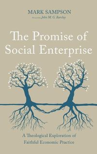 Cover image for The Promise of Social Enterprise: A Theological Exploration of Faithful Economic Practice