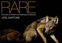 Cover image for Rare: Portraits of American's Endangered Species