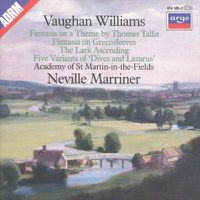 Cover image for Vaughan Williams Lark Ascending Fantasia On A Theme By Thomas Tallis