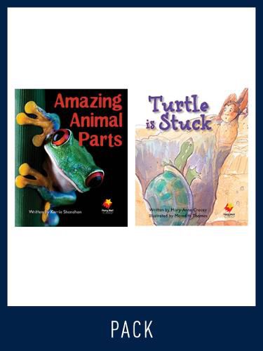 Cover image for Flying Start Guided Reading Pack Level 4, Pack 2: Paired student books (6x6) and lesson plan (1)