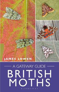 Cover image for British Moths: A Gateway Guide