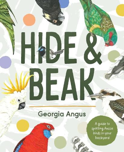 Cover image for Hide and Beak