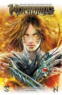 Cover image for Witchblade Volume 2: Awakenings
