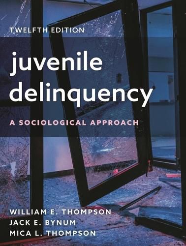 Cover image for Juvenile Delinquency