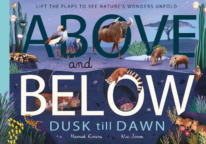 Cover image for Above and Below: Dusk till Dawn: Lift the flaps to see nature's wonders unfold