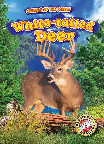 Cover image for White-tailed Deer