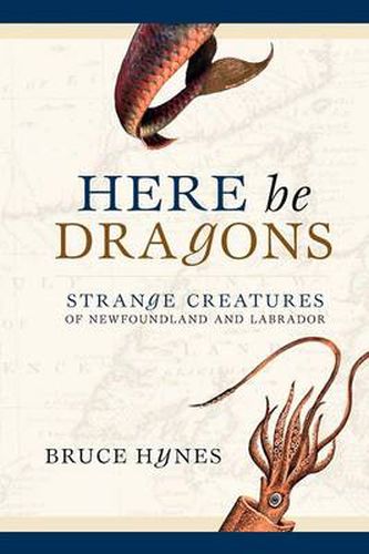 Cover image for Here Be Dragons