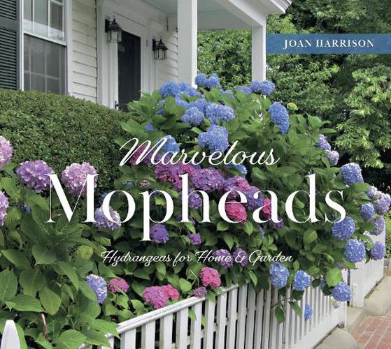 Cover image for Marvelous Mopheads