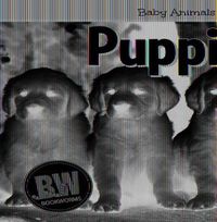 Cover image for Puppies