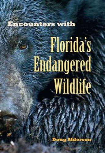 Cover image for Encounters with Florida's Endangered Wildlife